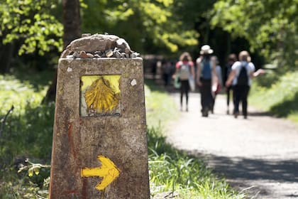 Las vieiras y las flechas amarillas son símbolos de este tradicional camino 