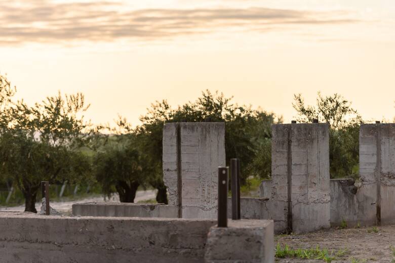 Raíces mendocinas: el sueño de Federico Bandini en Finca Bandini