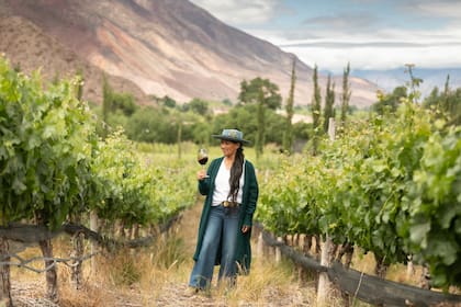 Las viñas de Bodega Dupont reciben visitantes.