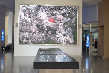 Las visitas a Anchipurac duran una hora y media.