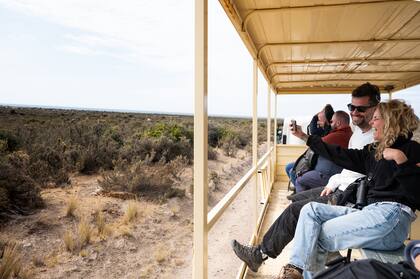 Las visitas guiadas incluyen el traslado hacia la colonia