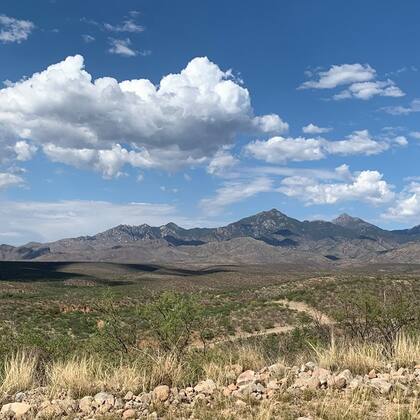 Las vistas del lugar se funden entre la naturaleza, con paisajes boscosos y desérticos. Foto: FB Santa Cruz County, Arizona