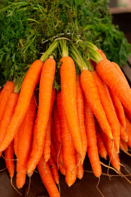 Las zanahorias contienen una gran cantidad de vitamina A