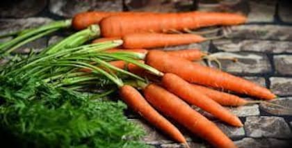 Las zanahorias son buenas para el organismo