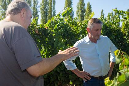 Laucirica visitó productores de Mendoza y San Juan