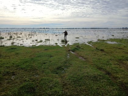 Laura Cagnone reflejó de manera cruda la situación que atraviesa en su establecimiento agropecuario