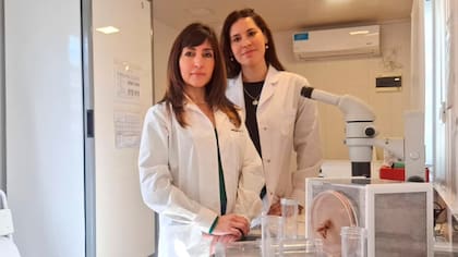 Laura Harburguer y Paula González, investigadoras del Conicet y autoras principales del trabajo