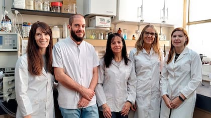 Laura Laurella, Orlando Elso, Valeria Sülsen, Claudia Sepúlveda y Mariel Wagner, el equipo de investigación
