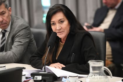 Laura Rodríguez Machado, presidenta de la Comisión de Legislación Penal en Diputados