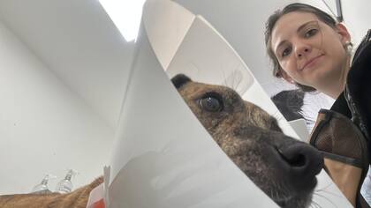 Laura Santa Cruz y Dulce en una de las tantas visitas a la veterinaria.