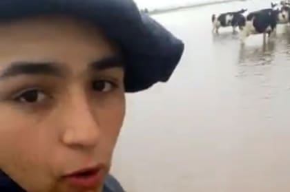 Quién es Lautaro Sarmiento, el joven tambero que viralizó un video para mostrar "el sacrificio de la gente de campo"
