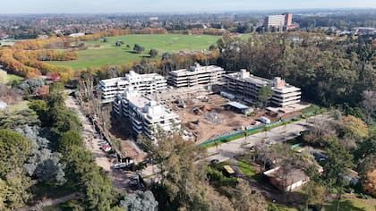 Le Bois. Fabricante: Welttechnik.