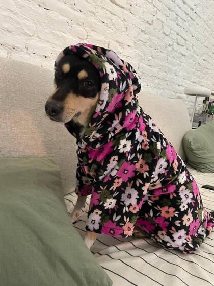 "Le decimos pochoclito, porque tiene un olor especial como a pochoclo dulce”.