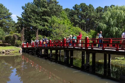 "Le hacía visitas guiadas a las escuelas de jardinería, a familiares y amigos. Las personas quisieron venir a conocer y así fue como empezamos con las reservas previas”