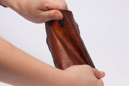 Le Qara es una compañía peruana que creó un biocuero vegano