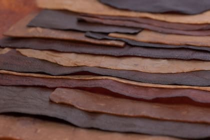Le Qara es una compañía peruana que creó un biocuero vegano