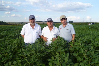 Le vendió una marca a Bayer