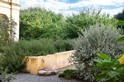 Leach trabajó en el Chelsea Physic Garden como jefe de jardineros y luego se mudó a la isla de Madeira, donde trabajó por un año como paisajista de un hotel en las afueras de Funchal, la capital del archipiélago portugués. Luego, esa experiencia la volcó en su propio jardín.