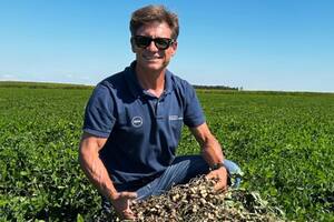 La pyme que empezó con 100 hectáreas y hoy es referente del maní en el mundo