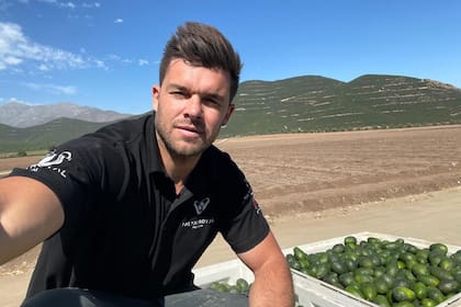 Leandro Penna junto a las paltas que exporta al mundo