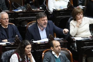 Leandro Santoro, en la sesión de la Cámara de Diputados por el veto a la Ley de Emergencia en Discapacidad
