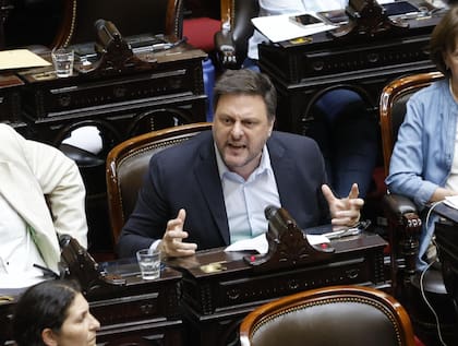 Leandro Santoro en la tercera jornada de debate por la "Ley Ómnibus" en la Cámara de Diputados