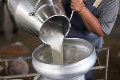 Afirman que hay desvío de leche hacia firmas informales