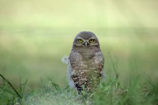 Capturar la belleza de la naturaleza en un pueblo rural bonaerense