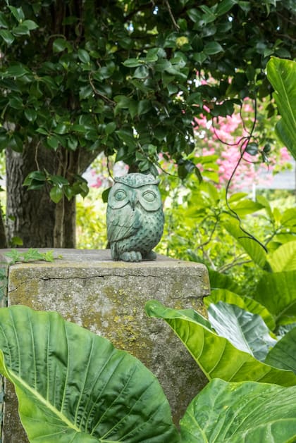 Lechuza de piedra, regalo de un amigo viverista