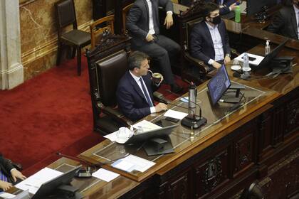 Massa pidió que los diputados testeados eviten circular fuera del ámbito del Parlamento