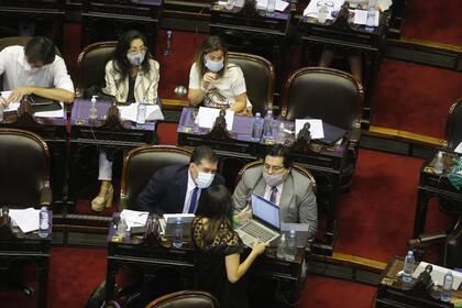 La Cámara de Diputados trata hoy en una sesión especial los proyectos de legalización del aborto y del "Plan de los 1000 días"