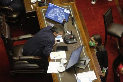 Legalización del aborto: las mejores fotos de la maratónica sesión en Diputados