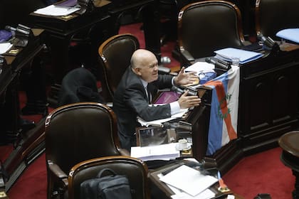 Leiva, en la sesión en Diputados por "Zona Fría"