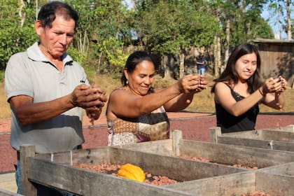 Lejos de los tiempos de Sendero Luminoso y en plena producción