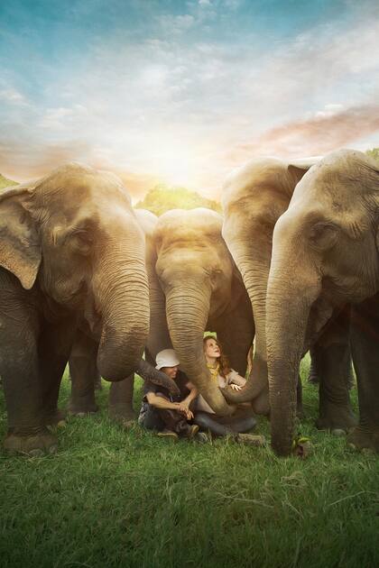 Lek Chailer y Ashley Bell entre elefantes rescatados