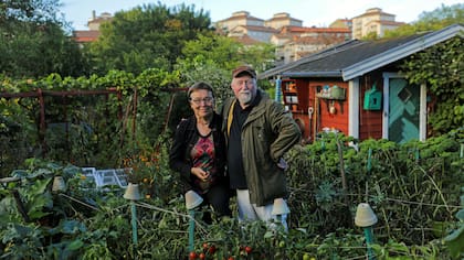 Lena Israelsson y su marido Stefan Dehlen en su huerta en Estocolmo