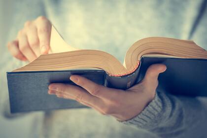 La única recomendación que trascendió fue que se desdoble la palabra reina