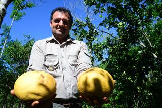 Compró una vieja chacra a precio de ganga y ahora es un paraíso en una región en pleno auge