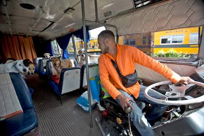 Cada uno en su lugar, todo listo para salir de paseo