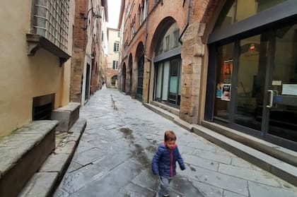 León en las callecitas de Lucca.