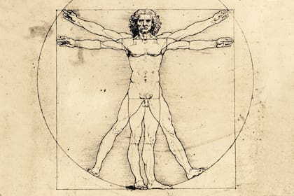 El Hombre vitruviano de Leonardo Da Vinci