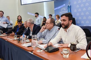Sin el apoyo de los gobernadores, avanza en Diputados la ley de humedales
