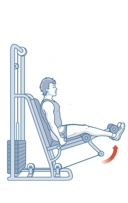 Lesiones en la rodilla