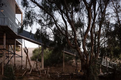 Levantada en un lote de 12x50 metros, el acceso desde la calle es por esta pasarela rampada. En verano, aprovechan este lugar con una mesa para almorzar a la sombra.
