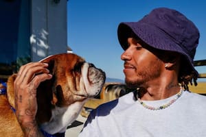 Lewis Hamilton brindó una conferencia de prensa y habló de la muerte de su mascota