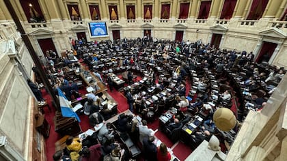Ley Bases y paquete fiscal se debate en Diputados desde el mediodía 