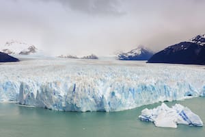 La Justicia rechazó el pedido de Greenpeace para frenar las audiencias públicas