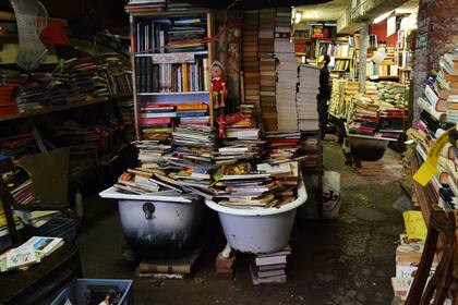 Librería Acqua Alta, en Venecia, Italia