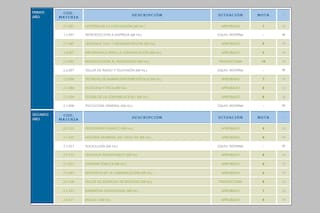 La pandemia apuró la digitalización de la libreta universitaria