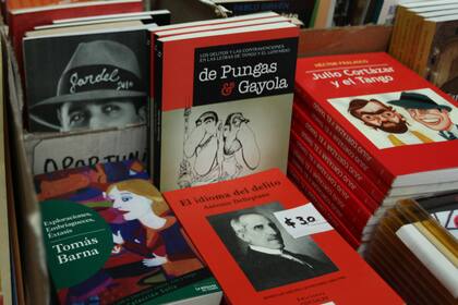 Diccionarios y libros en un anaquel sobre el tema